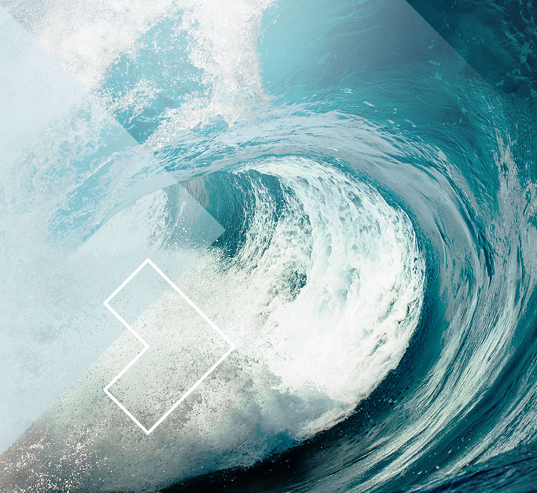 What to Expect When Expecting Rates to Rise