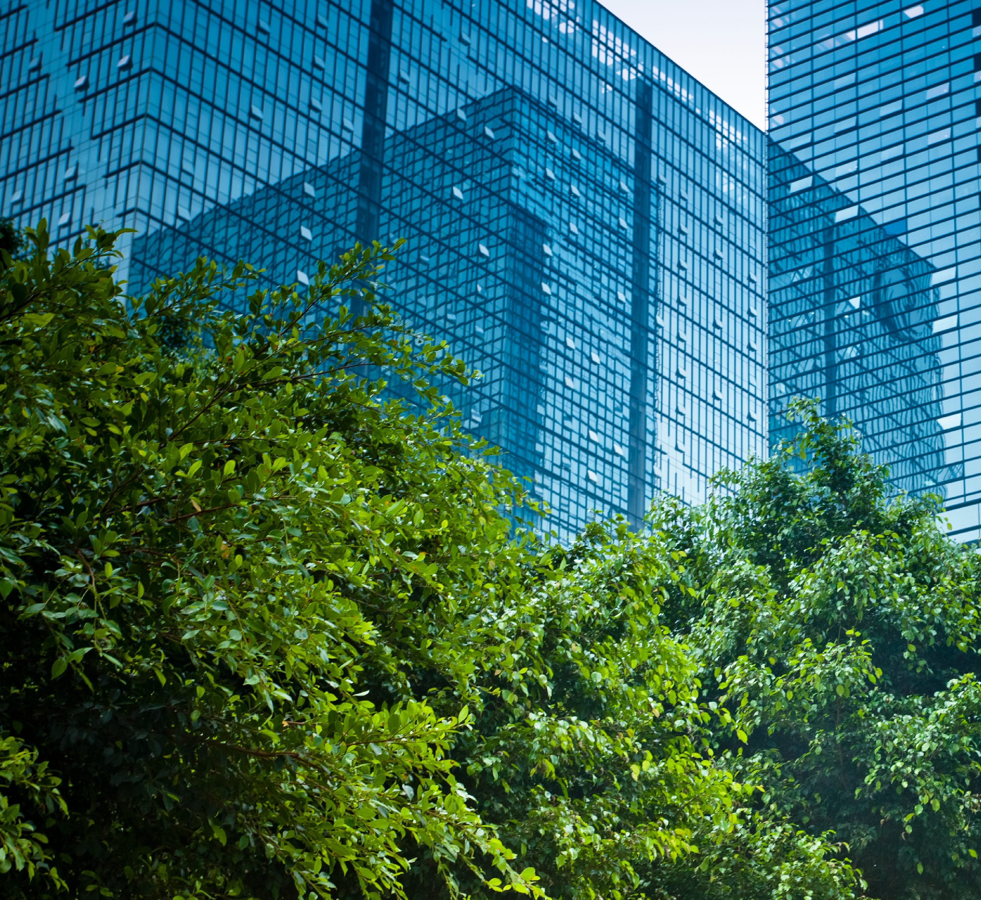 USMID-Quickfire image of buildings and trees