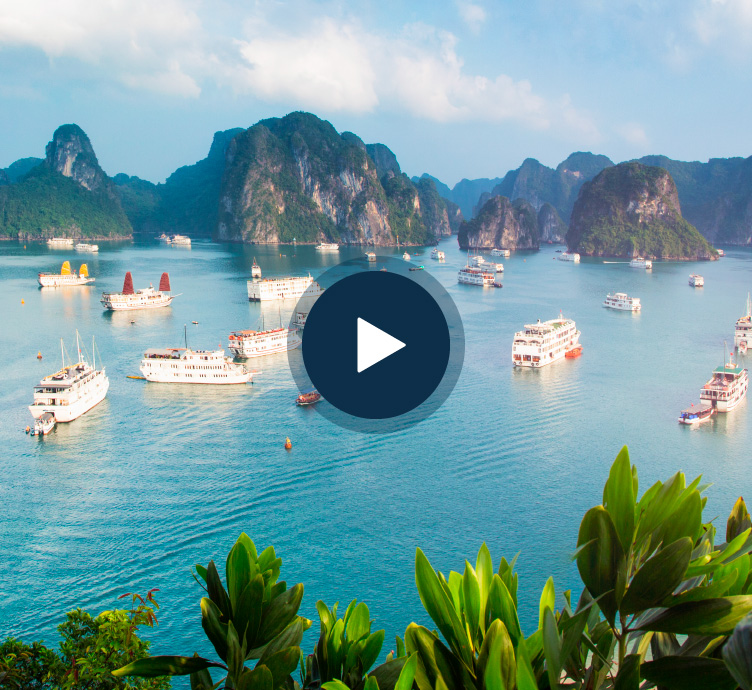 Insight image of Vietnam