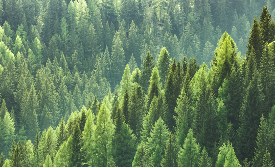 Sustainability at Fiera Capital