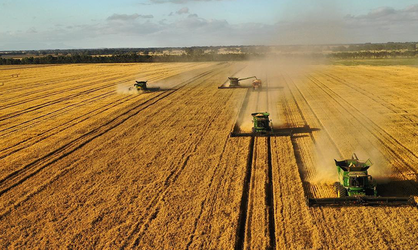 Image for Strengthening Real Assets Portfolios Through Agriculture and Timberland Allocations